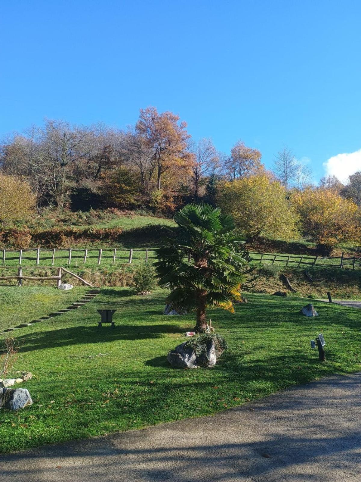 Hotel Rural Reciegos Complejo Agroturistico Caso Dış mekan fotoğraf
