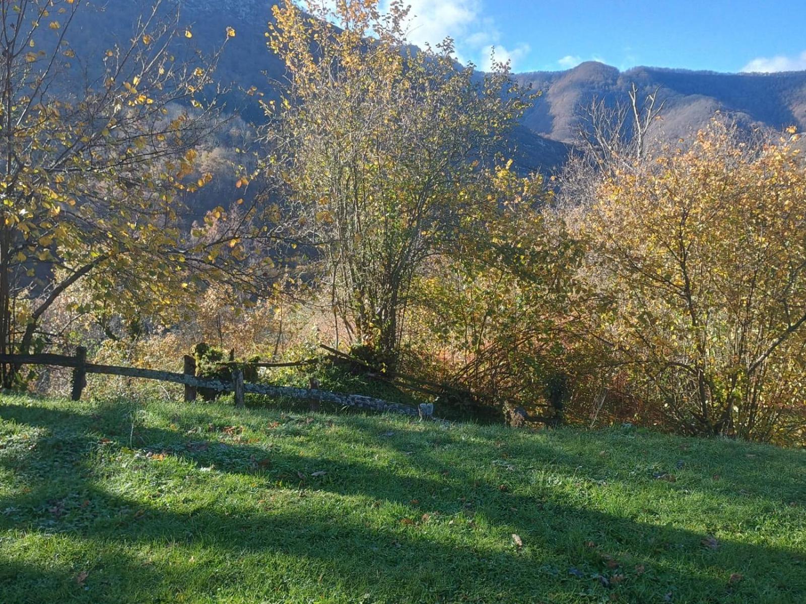 Hotel Rural Reciegos Complejo Agroturistico Caso Dış mekan fotoğraf